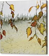 Birch In Autumn Acrylic Print