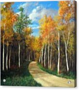 Birch Trees Along The Country Road Acrylic Print