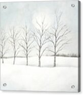 Birch Trees Under The Winter Sun Acrylic Print