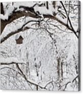 Bird House In Snow Acrylic Print