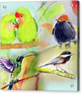 Birds Acrylic Print