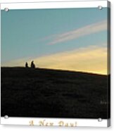 Birds And Fun At Butler Park Austin - Silhouettes 2 Detail Greeting Card Poster - A New Day Acrylic Print