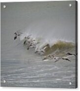 Outer Banks Obx #13 Acrylic Print