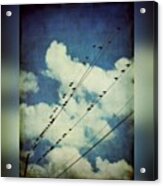 Birds On A Line #clouds #birdsonawire Acrylic Print