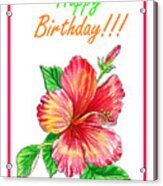 Birthday Hibiscus Acrylic Print