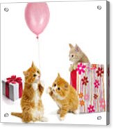 Birthday Kitties Acrylic Print