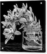 Black And White Orchid Antique Mason Jar Acrylic Print