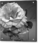 Black And White Rose Antique Mason Jar Acrylic Print