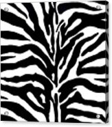 Black And White Zebra Acrylic Print