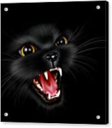 Black Cat Drawing Acrylic Print