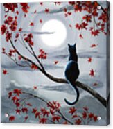 Black Cat In Silvery Moonlight Acrylic Print