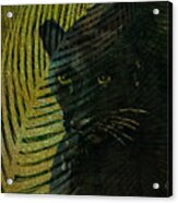 Black Panther Acrylic Print
