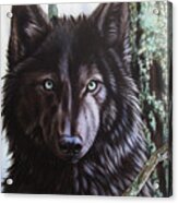 Black Wolf Acrylic Print