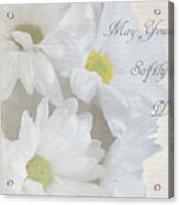 Blooming Daisies Acrylic Print