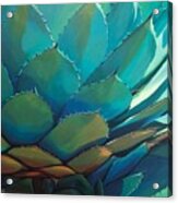 Blue Agave Acrylic Print