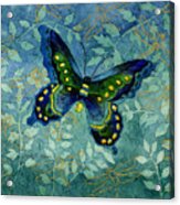 Blue Butterfly Acrylic Print