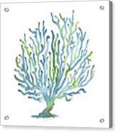 Blue Coral Acrylic Print