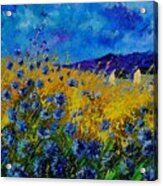 Blue Cornflowers Acrylic Print