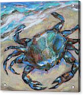 Blue Crab Acrylic Print