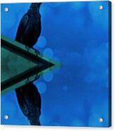 Blue Crow Acrylic Print