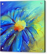 Blue Flower Offering Acrylic Print