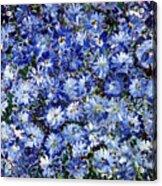 Blue Flowers Acrylic Print