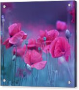 Blue Garden Poppies Acrylic Print