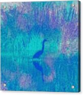 Blue Heron Acrylic Print
