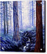 Blue Misty Morning In The Redwoods Acrylic Print