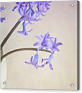 Blue Purple Flowers In White China Cup Acrylic Print