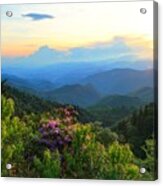 Blue Ridge Parkway And Rhododendron Acrylic Print