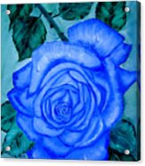 Blue Rose Acrylic Print