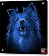 Blue Sheltie Dog Art 0207 - Bb Acrylic Print