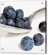 Blueberries For... Acrylic Print