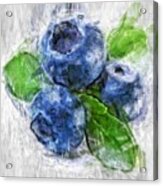 Blueberries Acrylic Print