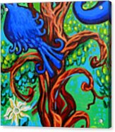 Bluebird In Tree Acrylic Print