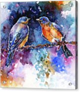 Bluebirds Acrylic Print
