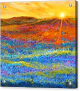 Bluebonnet Horizon - Bluebonnet Field Sunset Acrylic Print