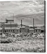 Bodie Business In Black And White Acrylic Print