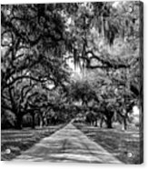 Boone Plantation Charleston Acrylic Print
