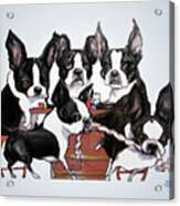 Boston Terrier - Dogs Playing Poker Acrylic Print