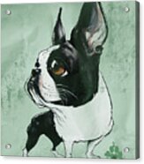 Boston Terrier - Green Acrylic Print