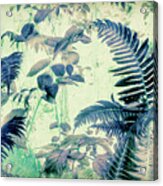 Botanical Art - Fern Acrylic Print