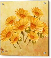 Bouquet Of Daisies Acrylic Print
