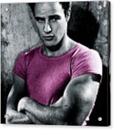 Brando In Pink Acrylic Print