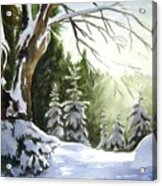 Bright Winter Sun Acrylic Print