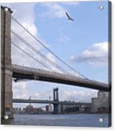 Brooklyn Bridge Acrylic Print