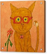 Brown Cat With Glasses Acrylic Print