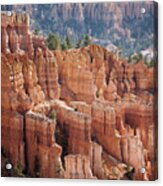 Bryce Canyon Acrylic Print