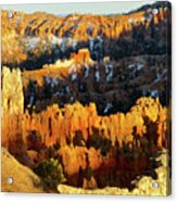 Bryce Canyon Hoodoos Evening Acrylic Print